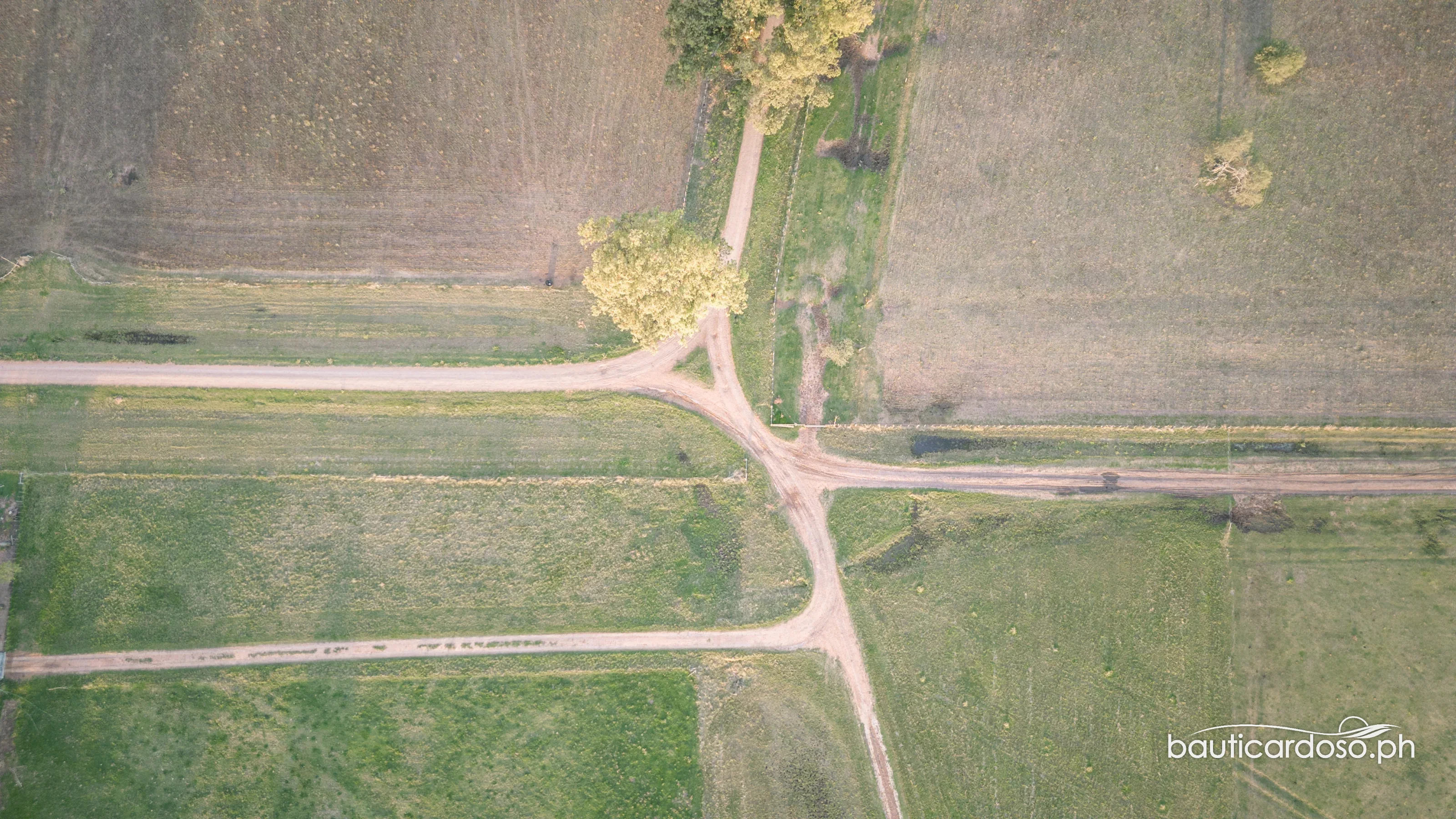DJI 0336