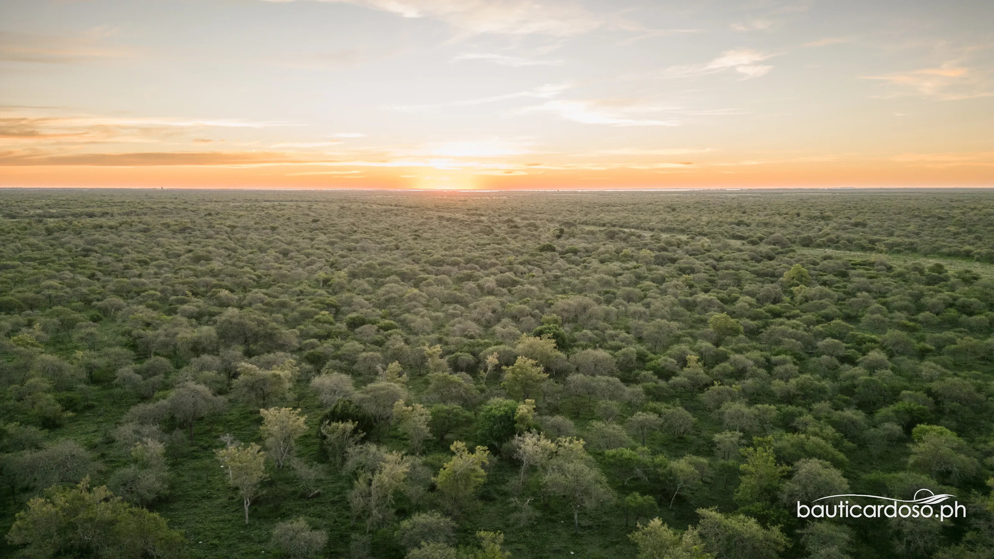 DJI 0380