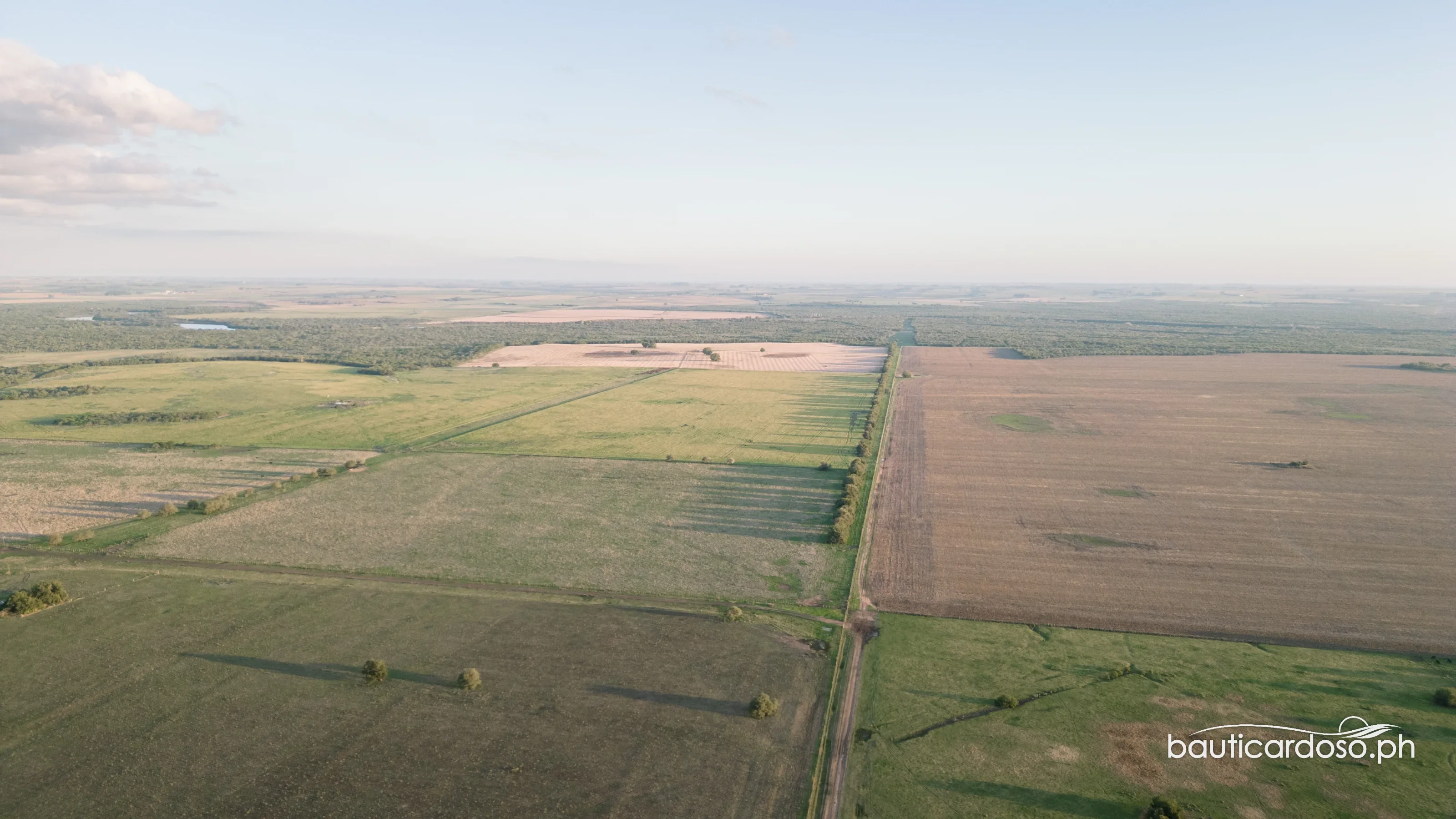 DJI 0338