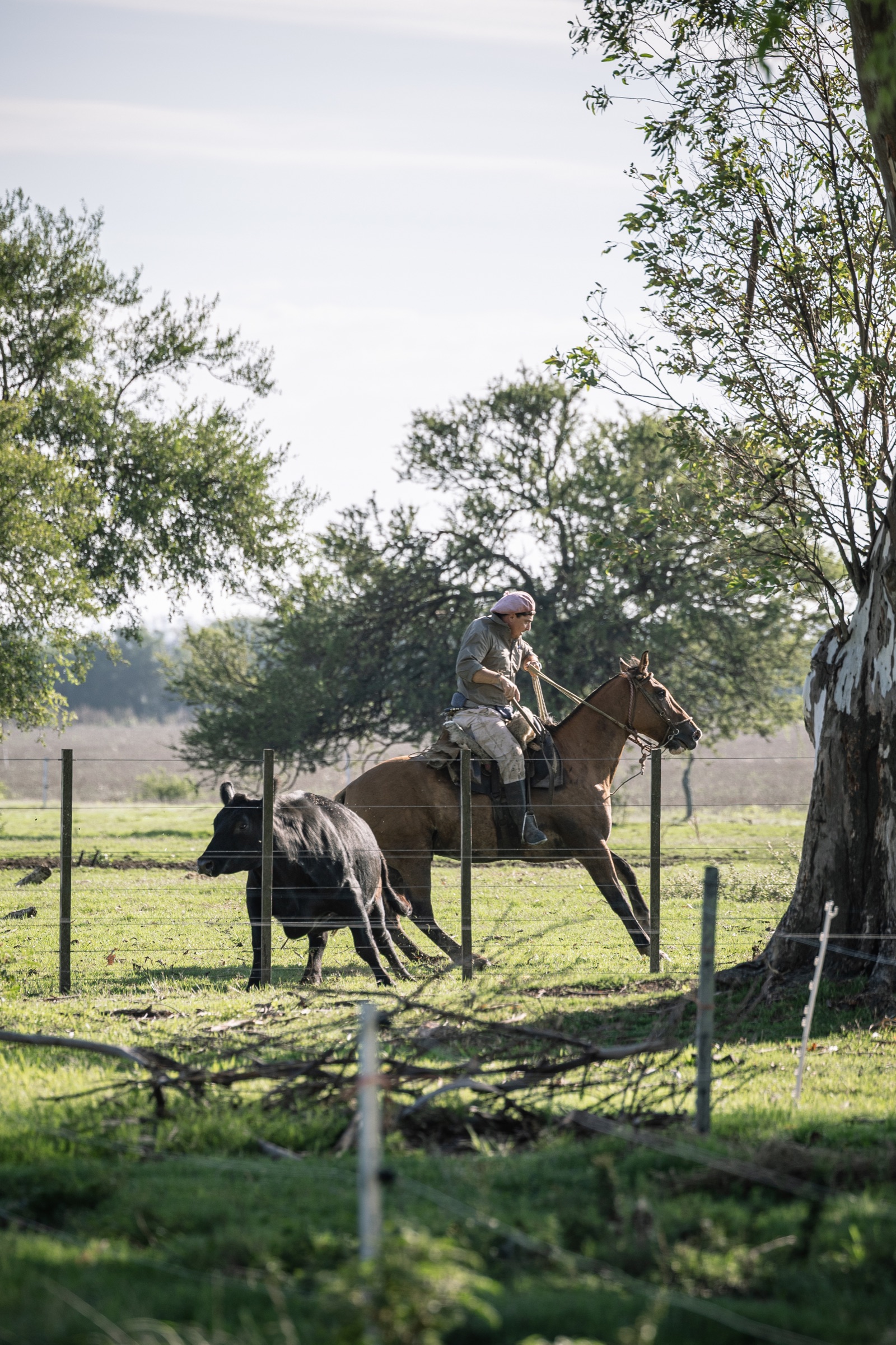 Trabajo rural a caballo